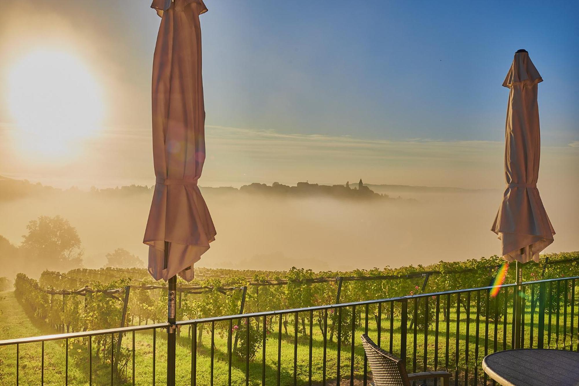 Winzerzimmer Scharl Sankt Anna am Aigen Exterior foto